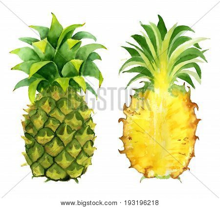 pineapple slice watercolor hand drawn illustration, tropical exotic fruit isolated on the white background