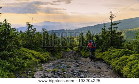 Mountain biker riding on bike in summer mountains forest landscape. Man cycling MTB flow trail track. Outdoor sport activity.