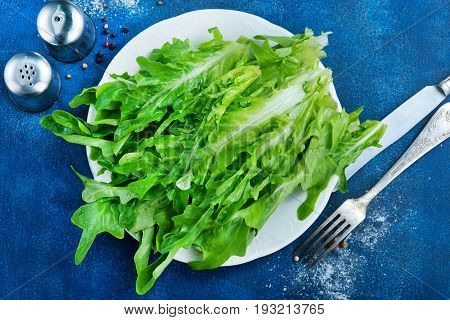 Ruccola