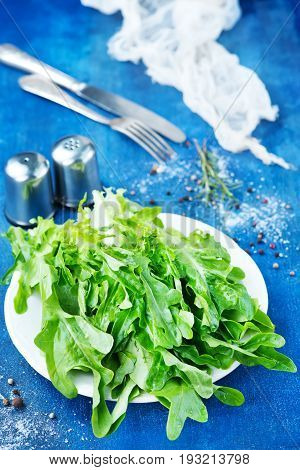 Ruccola