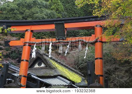 Giant torii gate at Shinto shrine in autumn Arashiyama Kyoto Japan