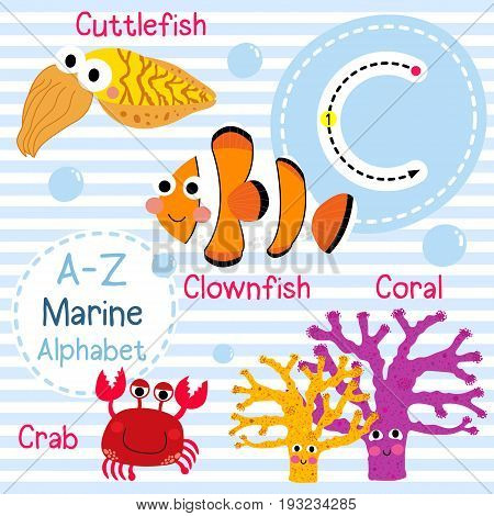 Cute children sea alphabet flashcard of funny marine animal cartoon C letter tracing for kids learning English vocabulary vector illustration.