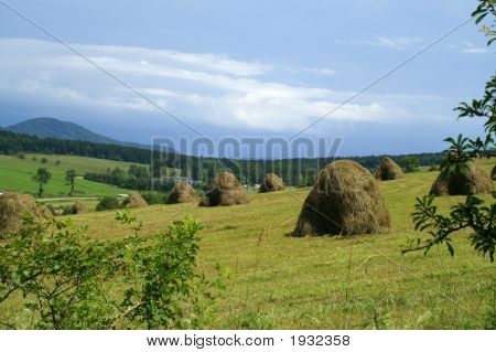 Po sklizni