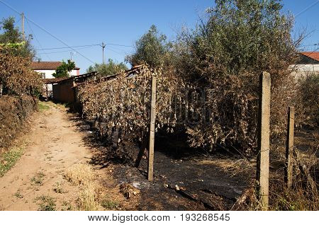 Forest Fire Burnt Ground Next To A Small Village - Pedrogao Grande