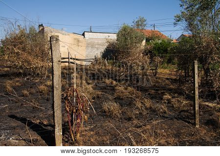 Forest Fire Burnt Ground Up To Small Village Homes - Pedrogao Grande