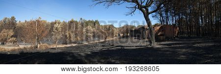 Panorama Of Burnt Forest Alongside A Burnt Shed  - Pedrogao Grande