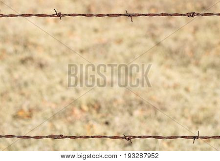 Close-up of a rusty barbed wire fence with a blurred brown background with room for text. Can be used as a background or border.