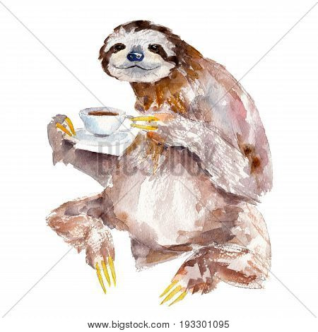 Watercolor illustration of sloth with cup of coffee isolated on white background
