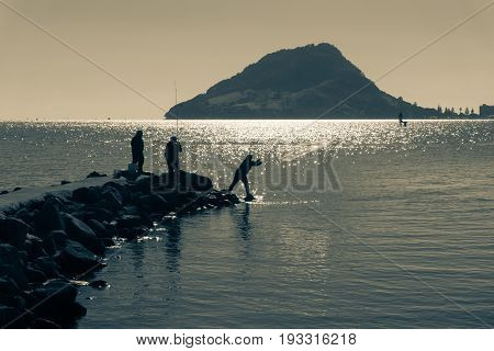 Split toned image blue hues Mount Maunganui on horizon over Tauranga Harbor from Sulphur Point with small silhouettes of people fishing and one throwing a net from rocks.