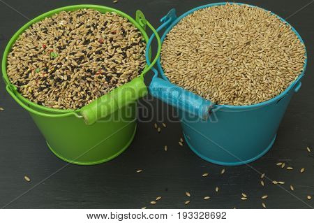 Food for birds, seed mixture, a green bucket with seed mix and a blue bucket with birdseed