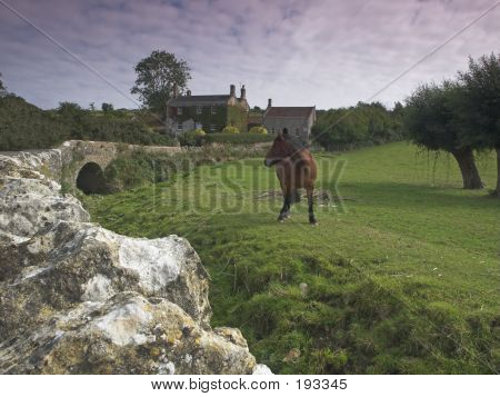 Platteland scène