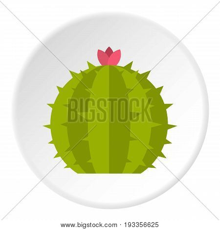 Green cactus plant icon in flat circle isolated on white vector illustration for web