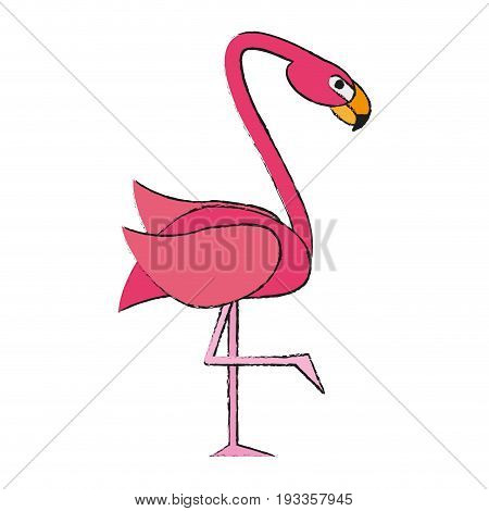 Exotic animal swan draw vector illiustration design graphic