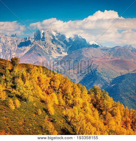 Colorful Autumn Landscape In The Caucasus Mountains