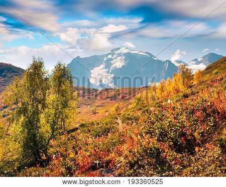 Colorful Autumn Landscape In The Caucasus Mountains.