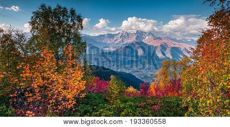 Colorful Autumn Landscape In The Caucasus Mountains.