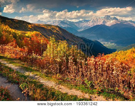 Colorful Autumn Landscape In The Caucasus Mountains.