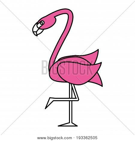 Exotic animal swan paint vector illiustration design graphic