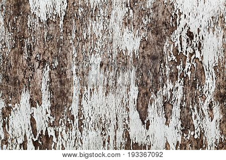 Old cracked wood texture with natural patterns background