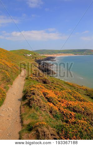 Coast path to Croyde from Woolacombe Devon England UK in summer with blue sky
