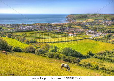 Devon countryside view to Croyde bay England UK in summer with ponies in colourful hdr