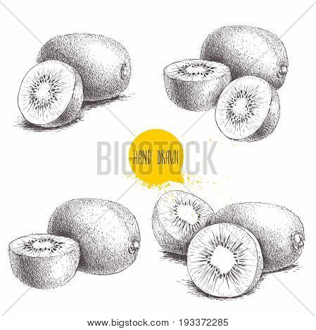 Hand drawn kiwi fruit vector illustration set. Sketch style vector design isolated on white background. Tropic fruit.