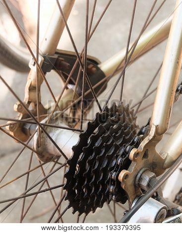 Bicycle Gears Disc Brake and Rear Derailleur of Mountain Bicycle Bike or Track Cycling.