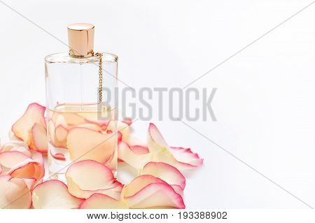 Perfume bottle with flower petals on light background. Perfumery, fragrance collection. Women accessories. Copyspace for text