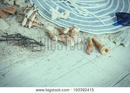 Sand and shells and hat on the wooden floor summer concept travel Seychely beach Florida Hawai swimm in Bali summer pradise