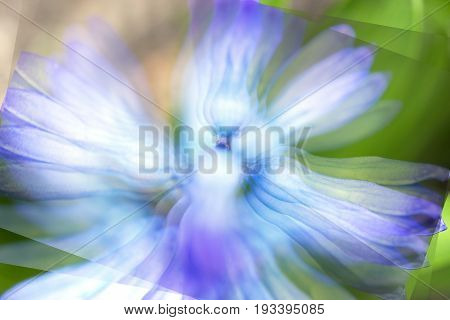 Abstract spring flower layered image with vibrant greens and purples sense of motion and pastel beauty