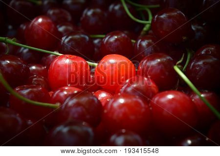 Sweet red cherry background cherry with leaf