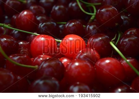 Sweet red cherry background cherry with leaf