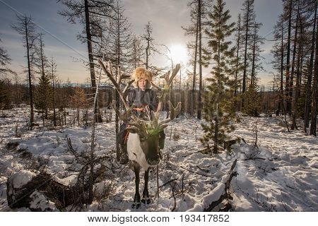 Mongolian Reindeer In Traditionally Tsaatan Family On Their Reindeers At Taiga, Mongolia