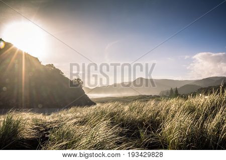 Late Afternoon Sun on a Winters Day at Piha Beach Auckland New Zealand