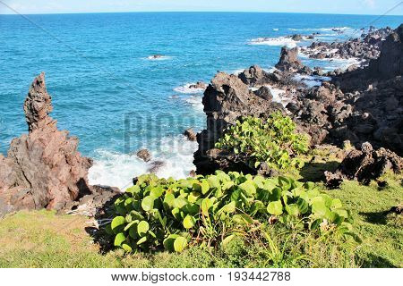Black volcanic rocck along the beach in St. Kitts