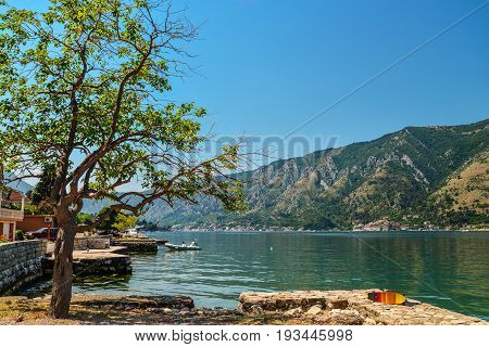 View Of Bay Of Kotor