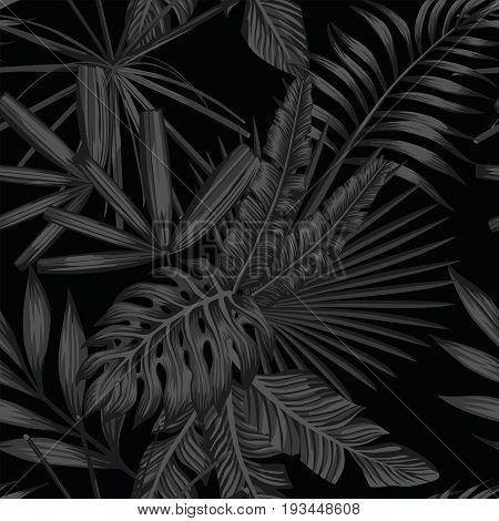 Tropical leaves seamless pattern in black and white style. Baech wallpaper