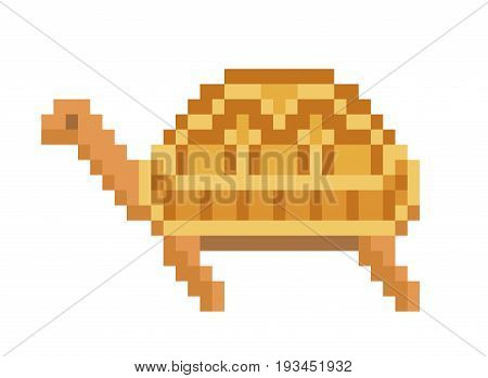 Old school 8 bit pixel art brown pet tortoise standing on the ground. Wild turtle icon isolated on white background. Zoo reptile symbol/sign/emblem. Retro video/pc game character.Slot machine graphics