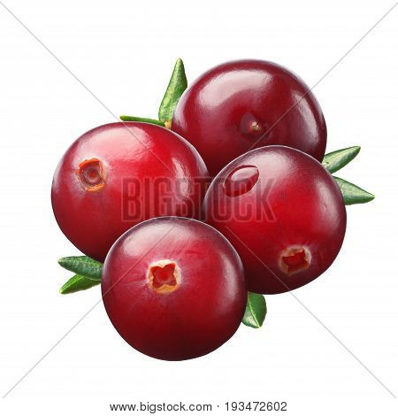 Cranberry, Four Berries, Paths