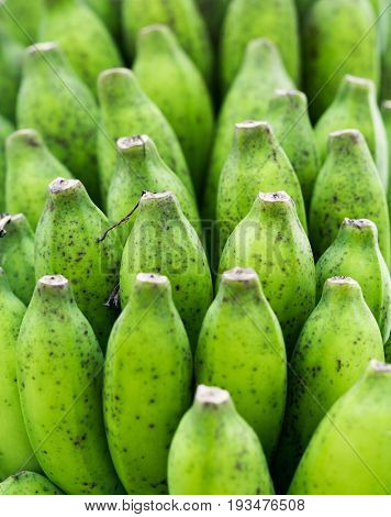 Macro closeup of fresh green bananas bunch. High nutrients fruits