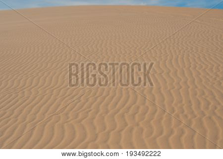 Yellow Sand In The Desert, Vietnam