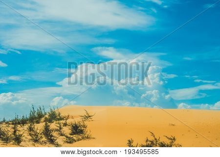 Yellow Sand In The Desert, Vietnam