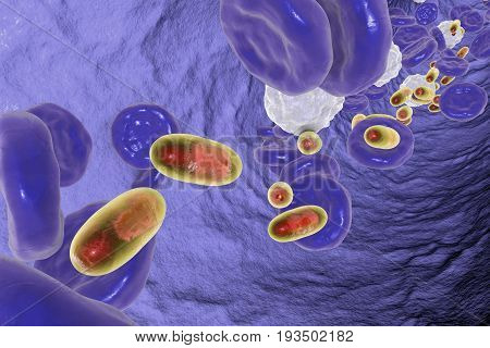 Delivery of medicines inside polymer nanoparticles, conceptual image. 3D illustration