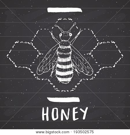 Vintage label Hand drawn bee grunge textured badge retro logo template typography design vector illustration on chalkboard.
