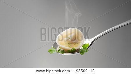 close up view of nice delicious ravioli on gray back