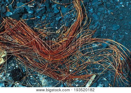 Metal Carcass Of The Burnt Automobile Rubber Tire