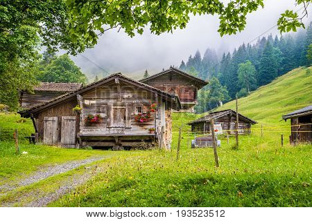 Scenic view of traditional old wooden mountain chalets in the Alps with fresh green mountain pastures trees and mystic fog on a cloudy day in summer Berner Oberland Switzerland