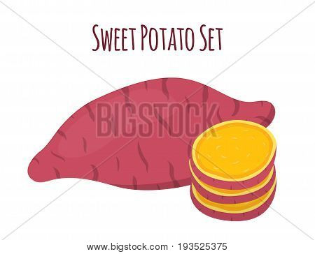 Brown batat, sweet potato and slices. Organic healthy vegetable. Fresh natural root. Made in cartoon flat style