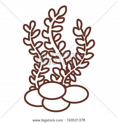 sea weed isolated icon vector illustration design