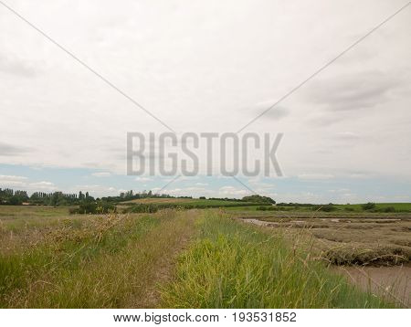 Stock Photo - Inland Country Scene In Harwich Felixstowe Essex Uk England No People Farm